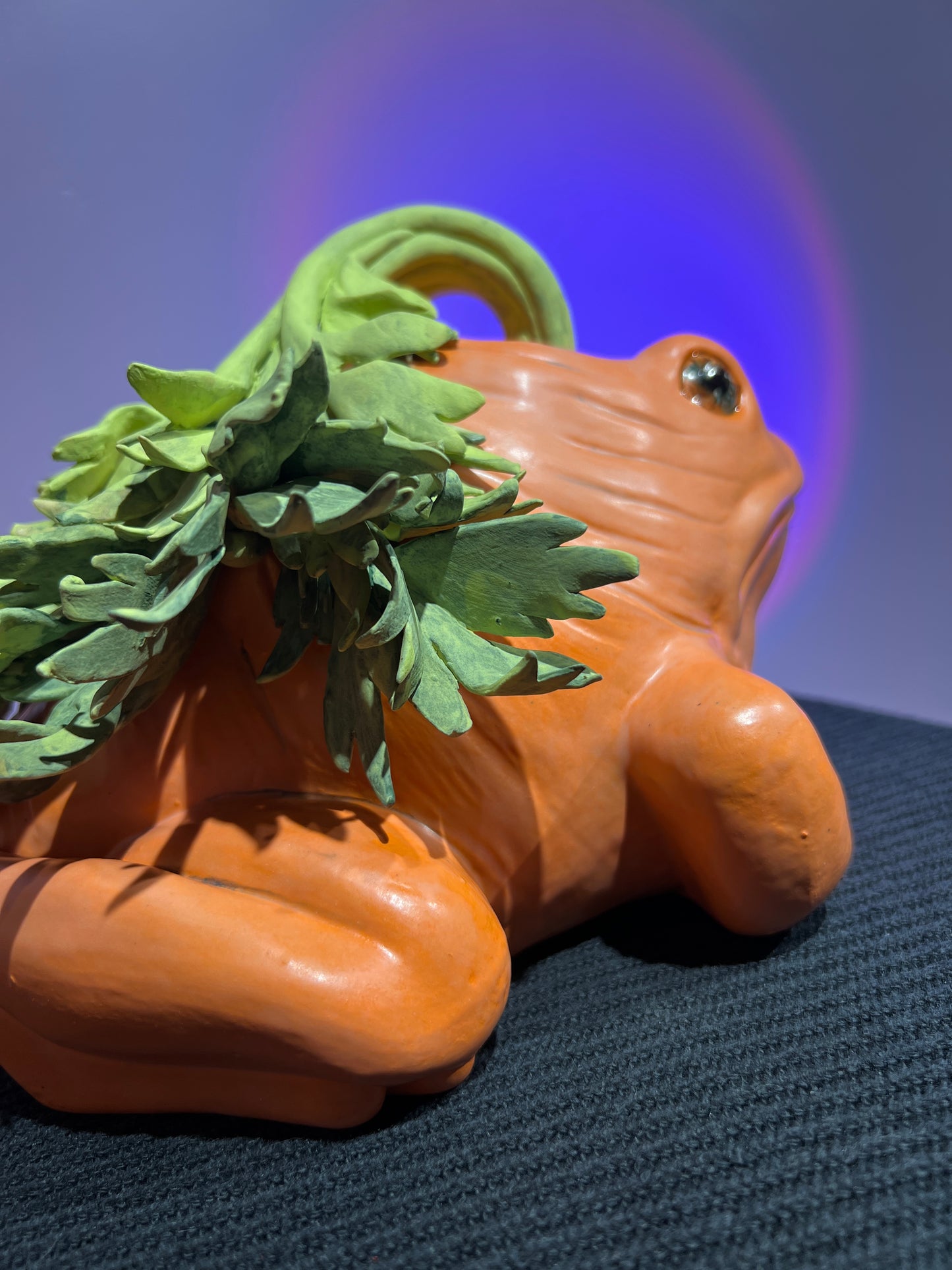 Carlee the Carrot Frog