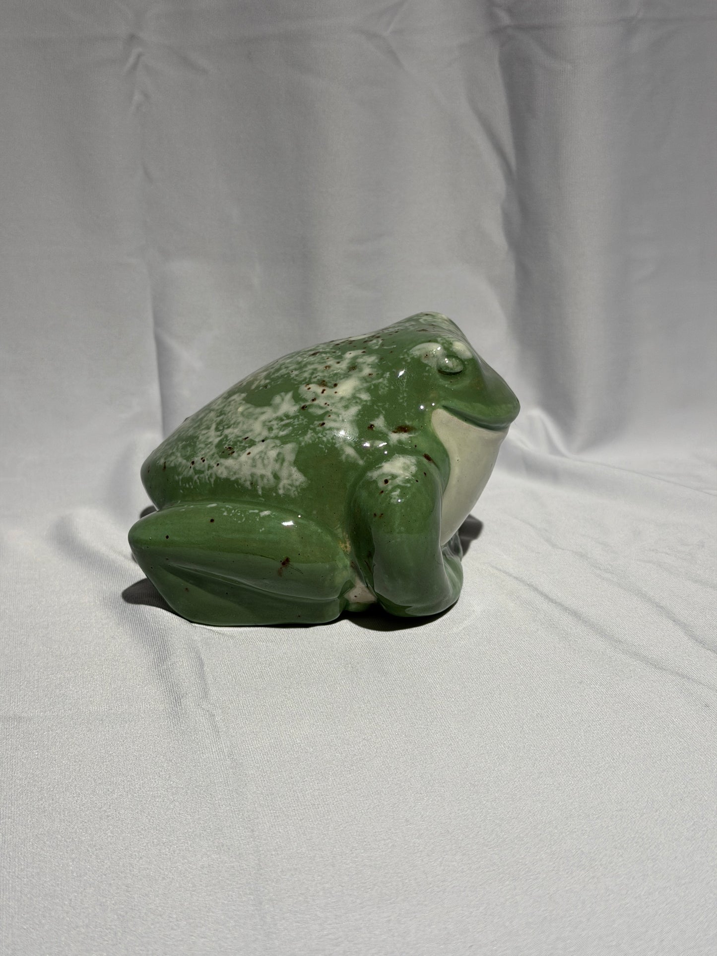 Dollie the White's Tree Frog