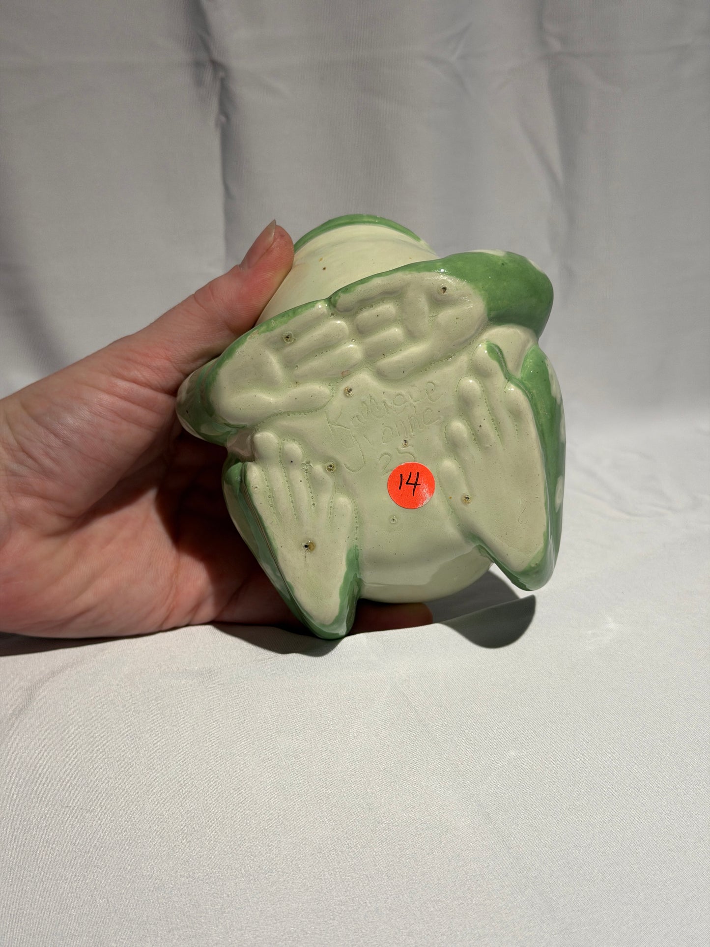 Stella the White's tree frog