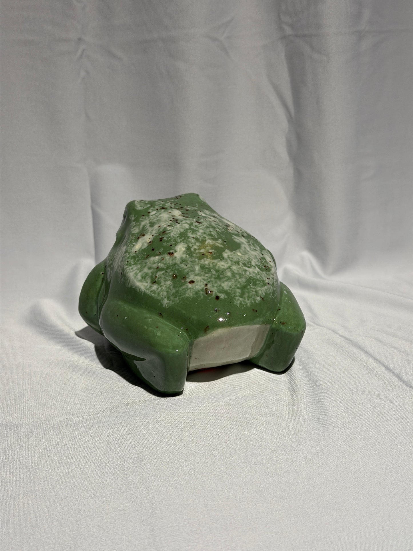 Dollie the White's Tree Frog