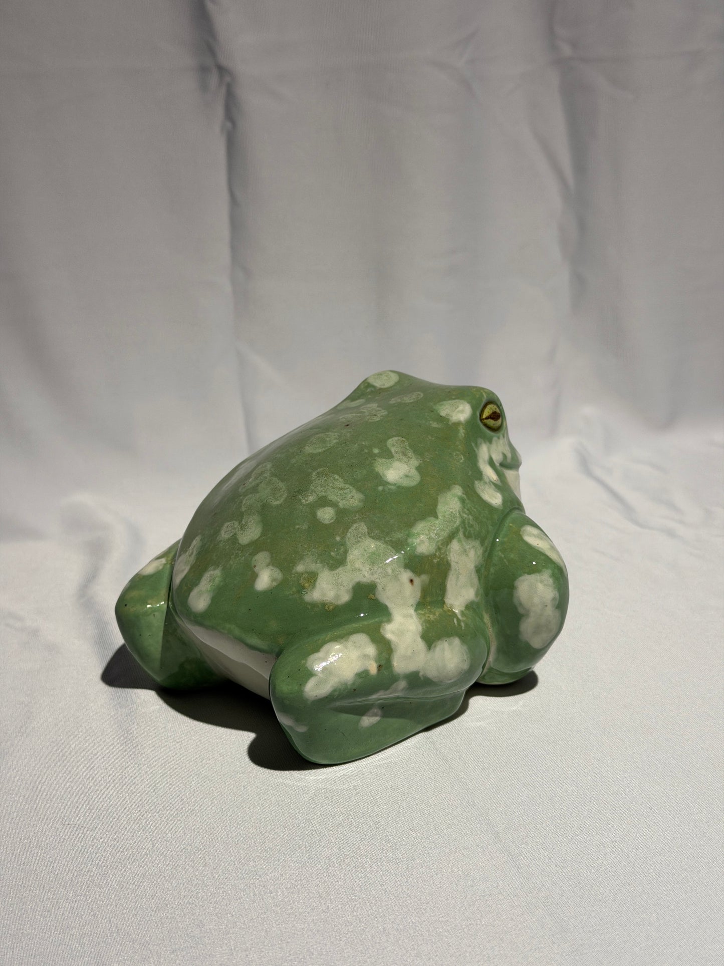 Stella the White's tree frog