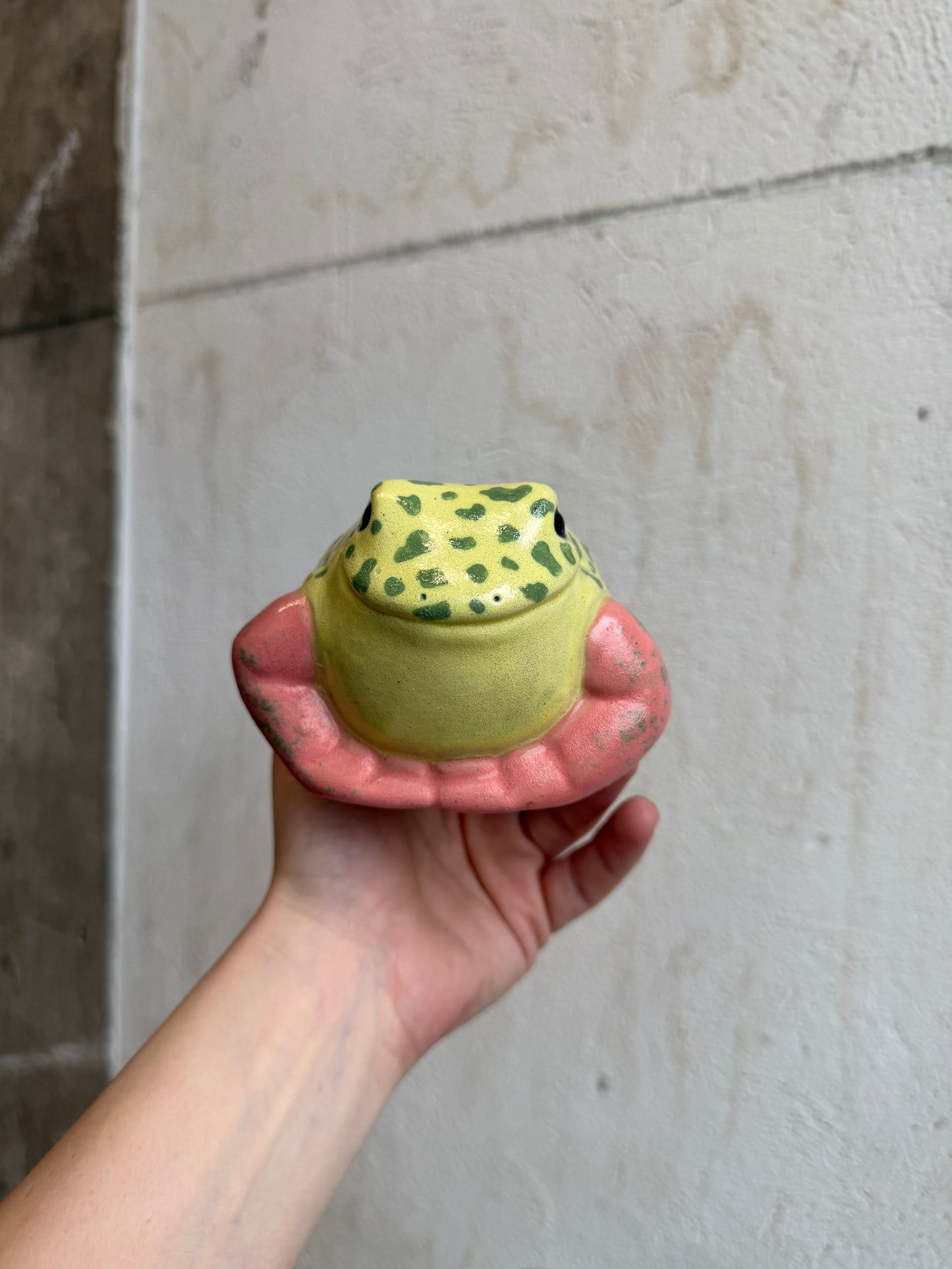 Pippi the Strawberry Dart Frog