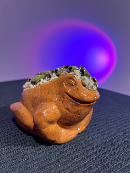 Chivette the Potatoad with Butter, Chives & Sour Cream