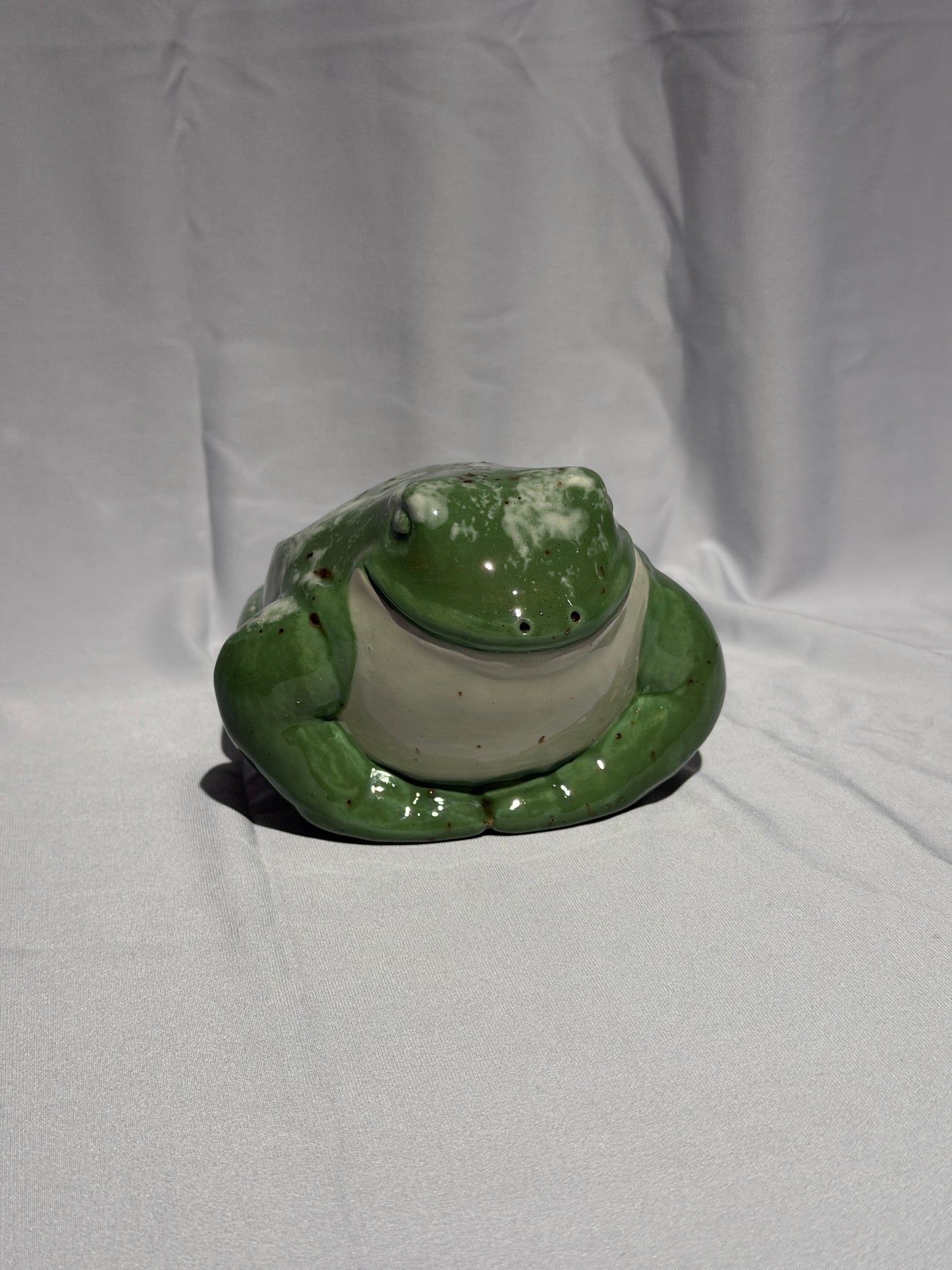 Dollie the White's Tree Frog