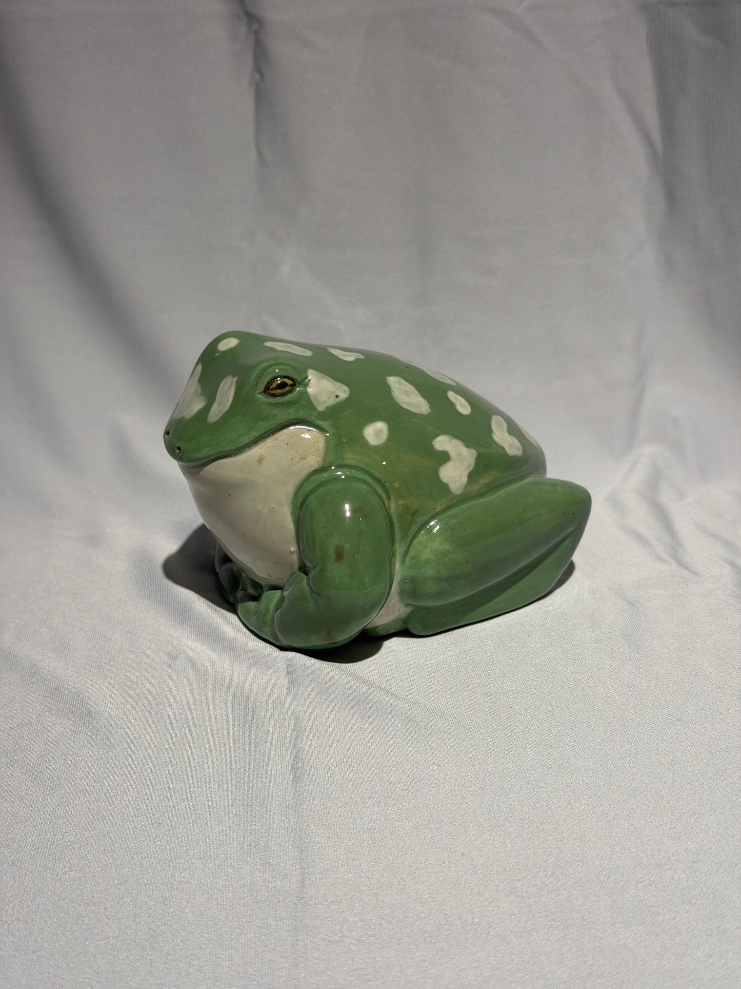 Willoughdean the White's Tree Frog