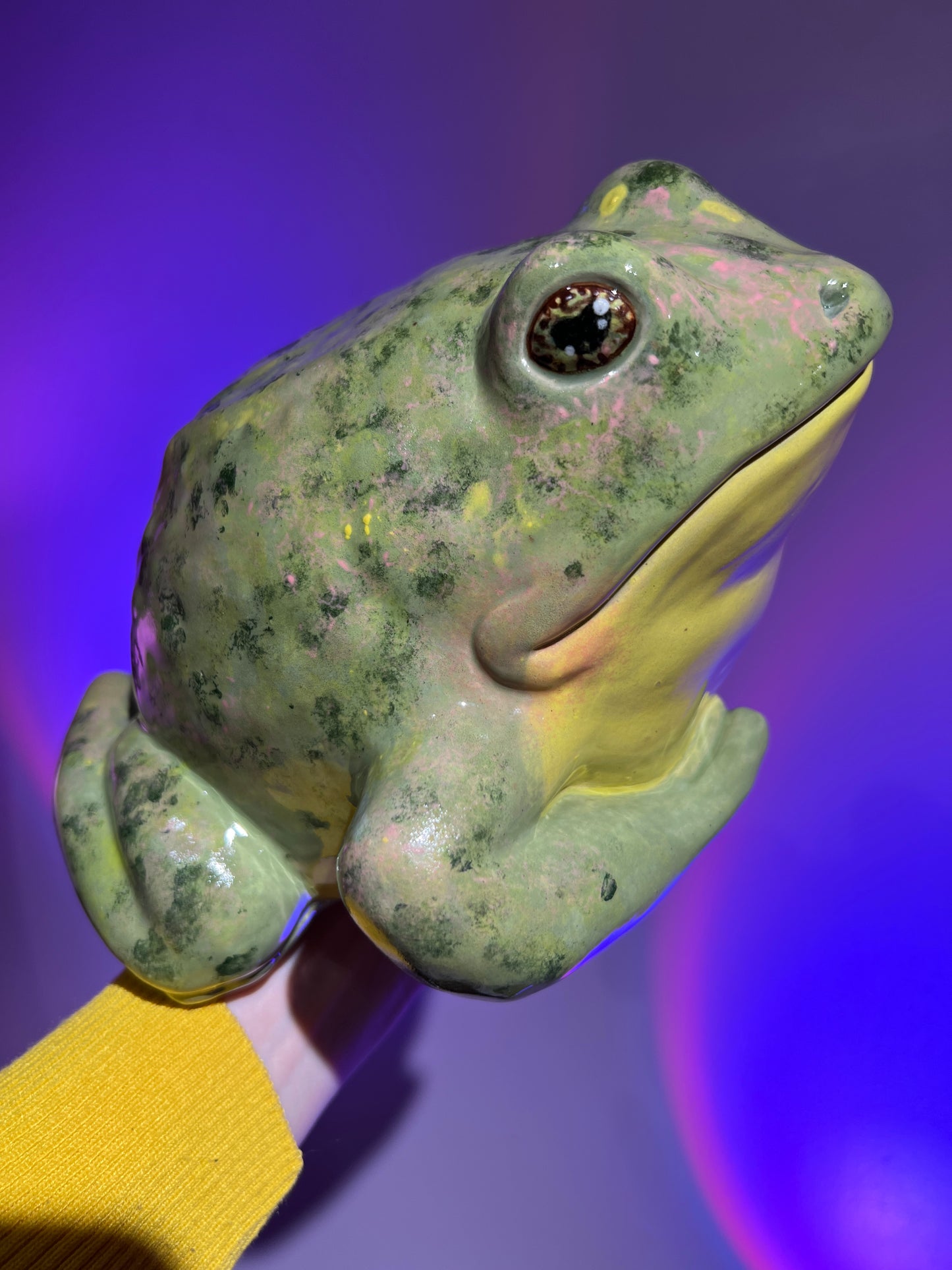 Wartley the Happy Frog