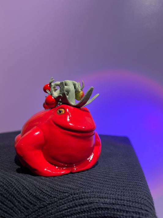 Sherry the Cherry Tomatoad