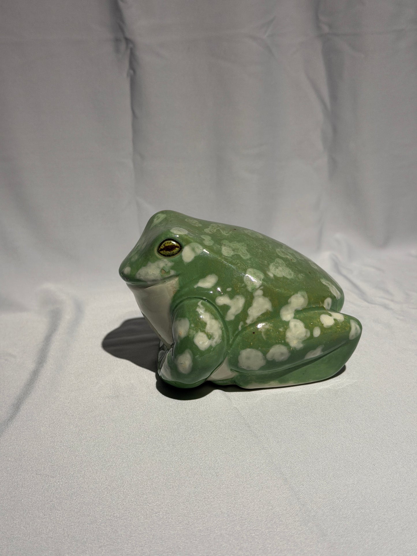 Stella the White's tree frog