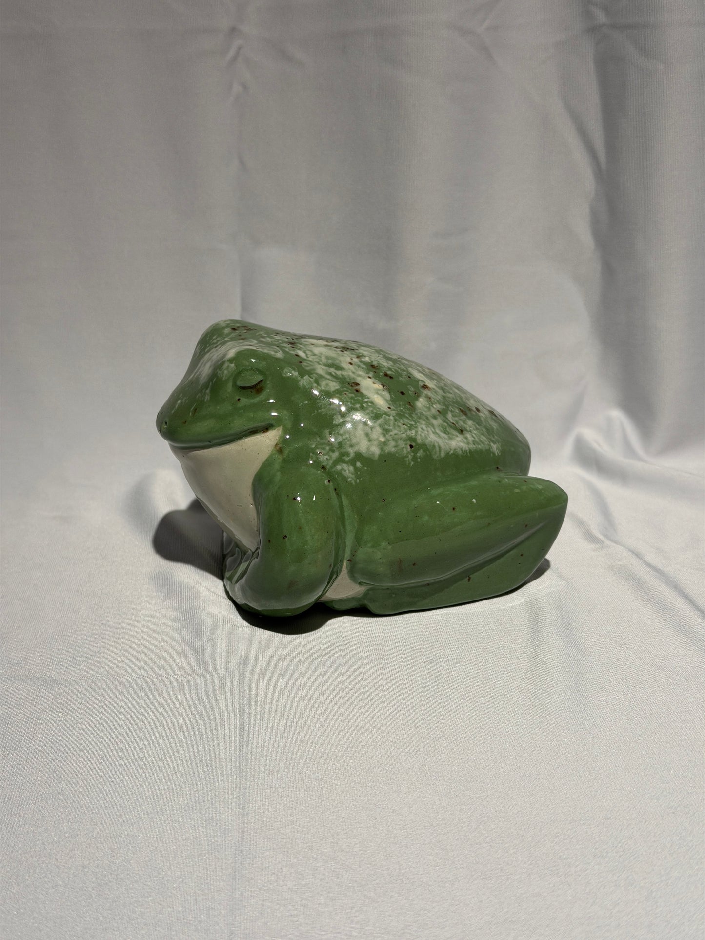 Dollie the White's Tree Frog