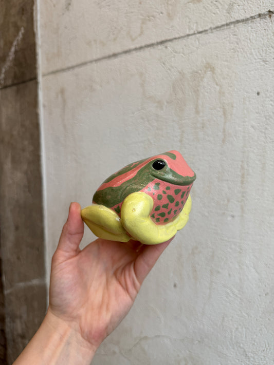 O’Keeffe the Dyeing Dart Frog