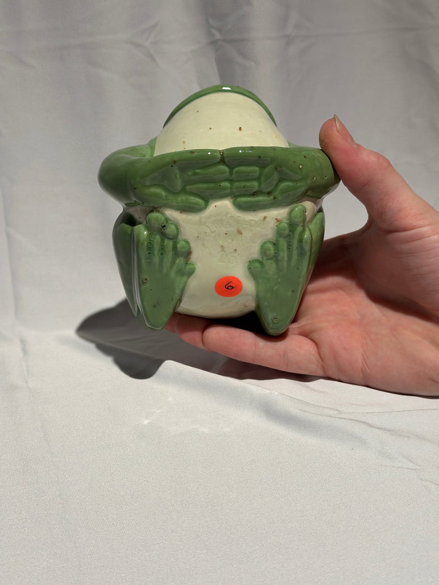 Dollie the White's Tree Frog