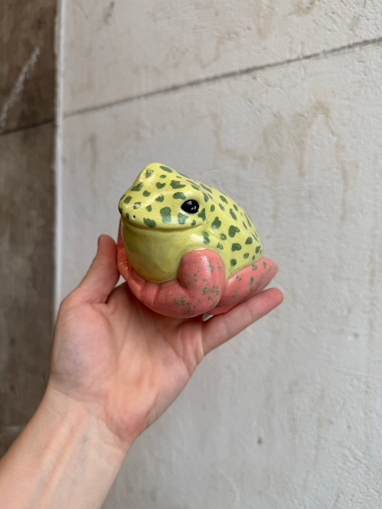 Pippi the Strawberry Dart Frog