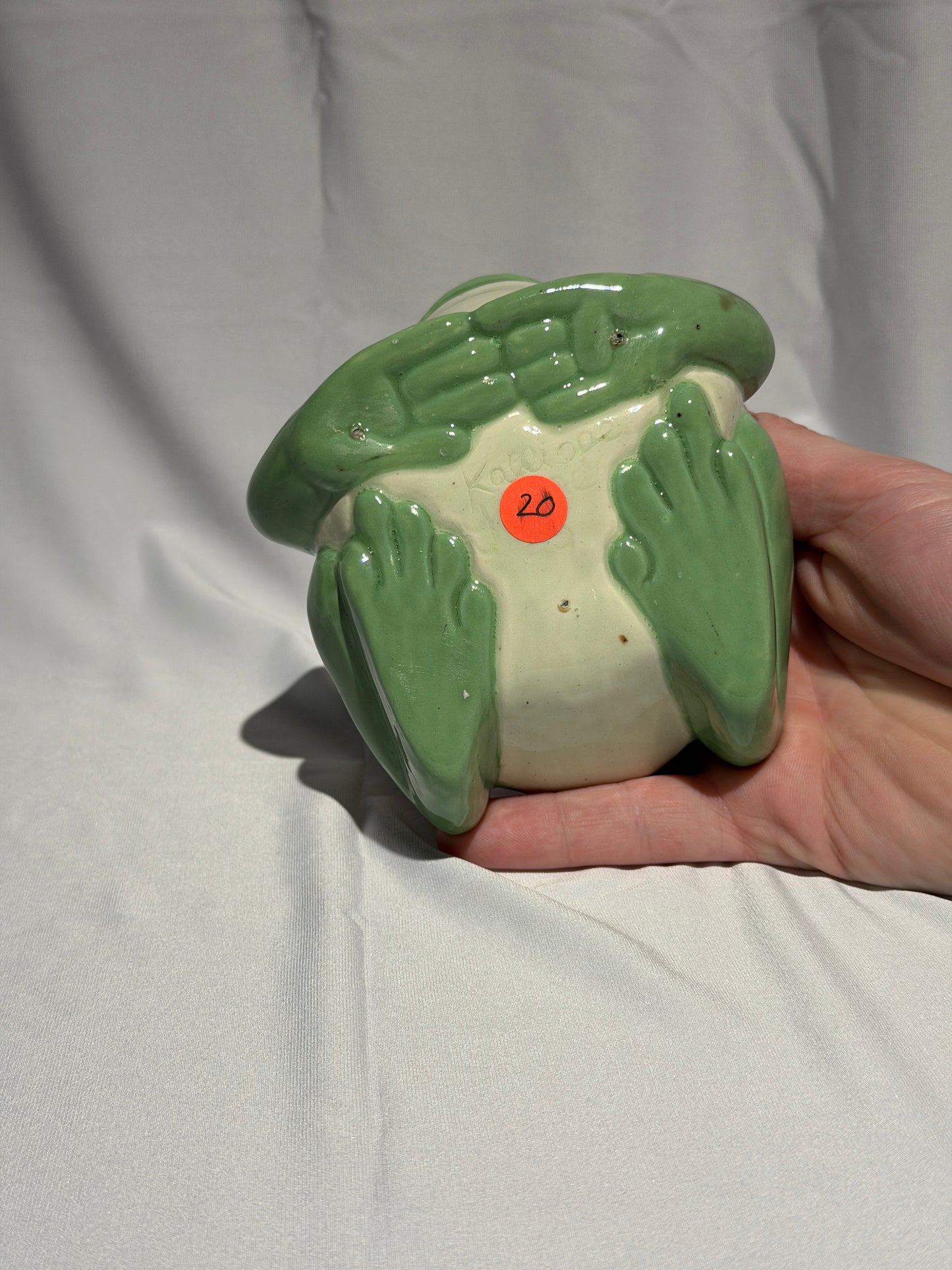 Willoughdean the White's Tree Frog