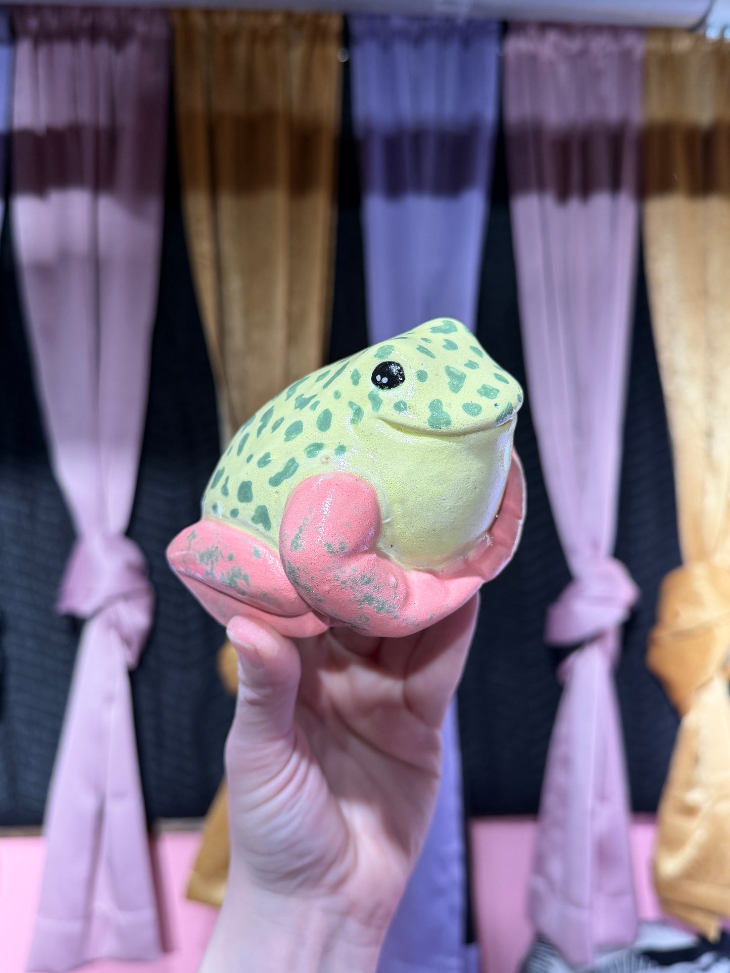 Pippi the Strawberry Dart Frog