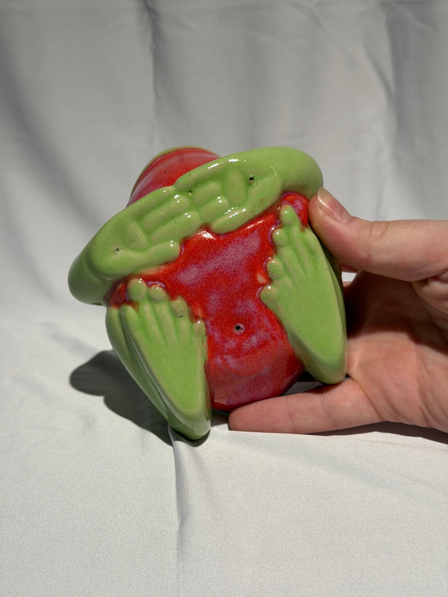 Lifeline the White's Tree Frog