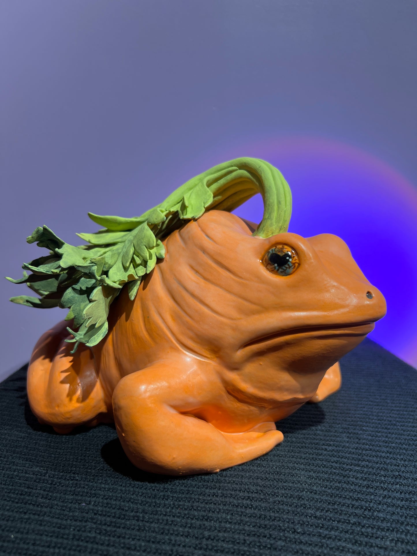 Carlee the Carrot Frog