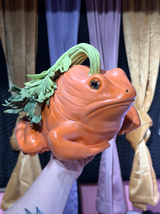 Carlito the Carrot Toad