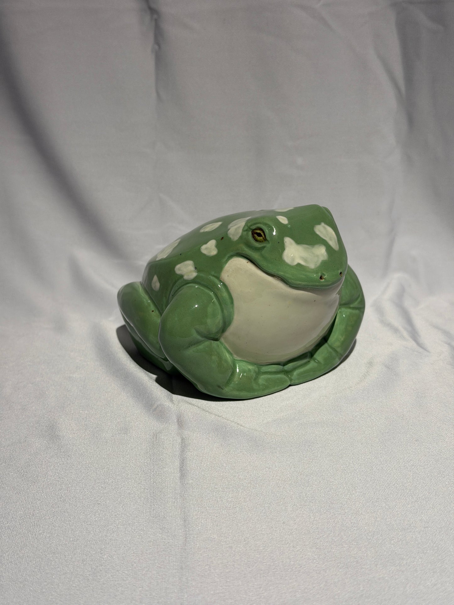 Willoughdean the White's Tree Frog