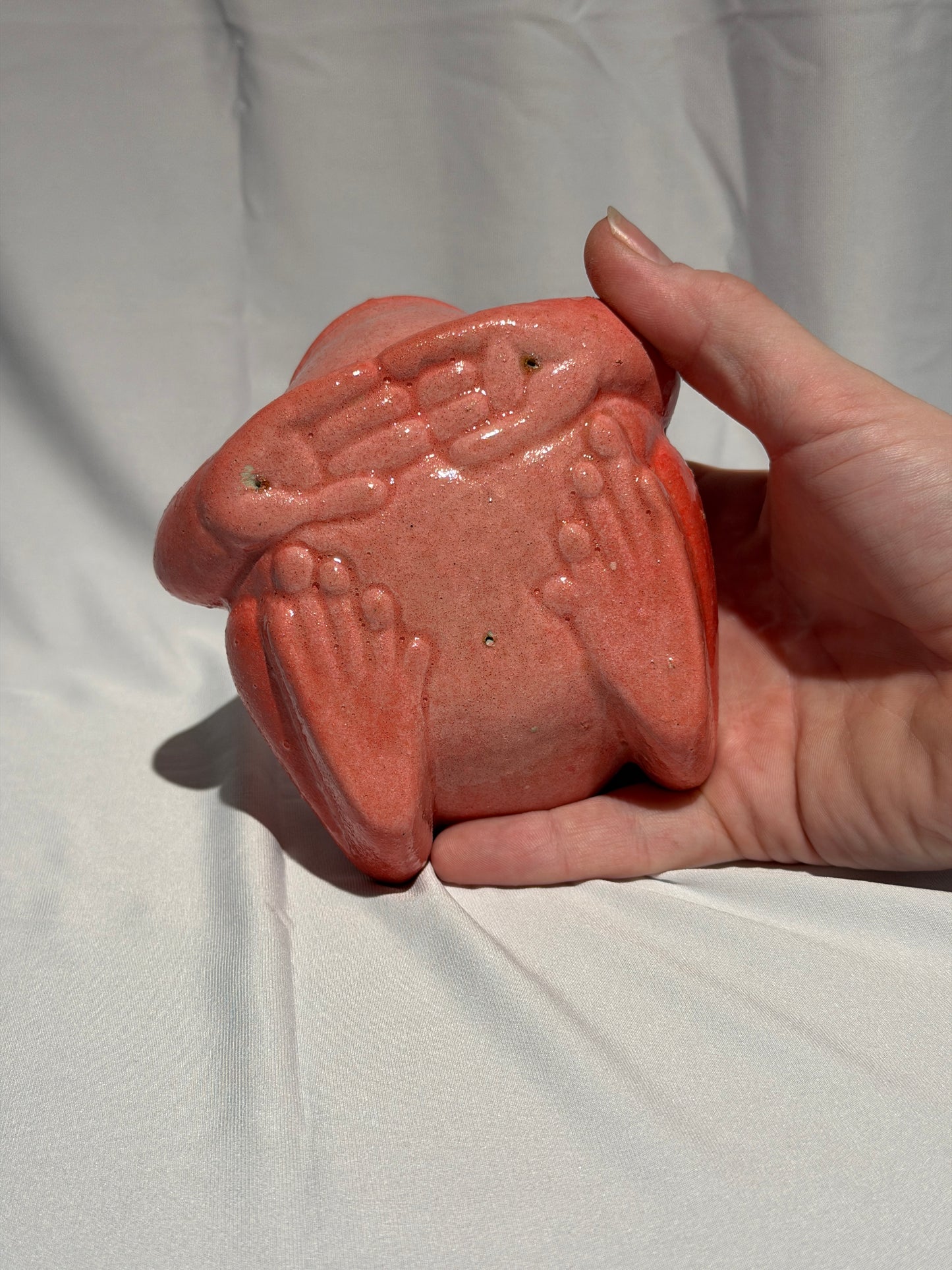 Fry the red White's tree frog