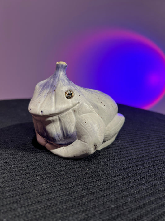 Garlito the Garlic Frog