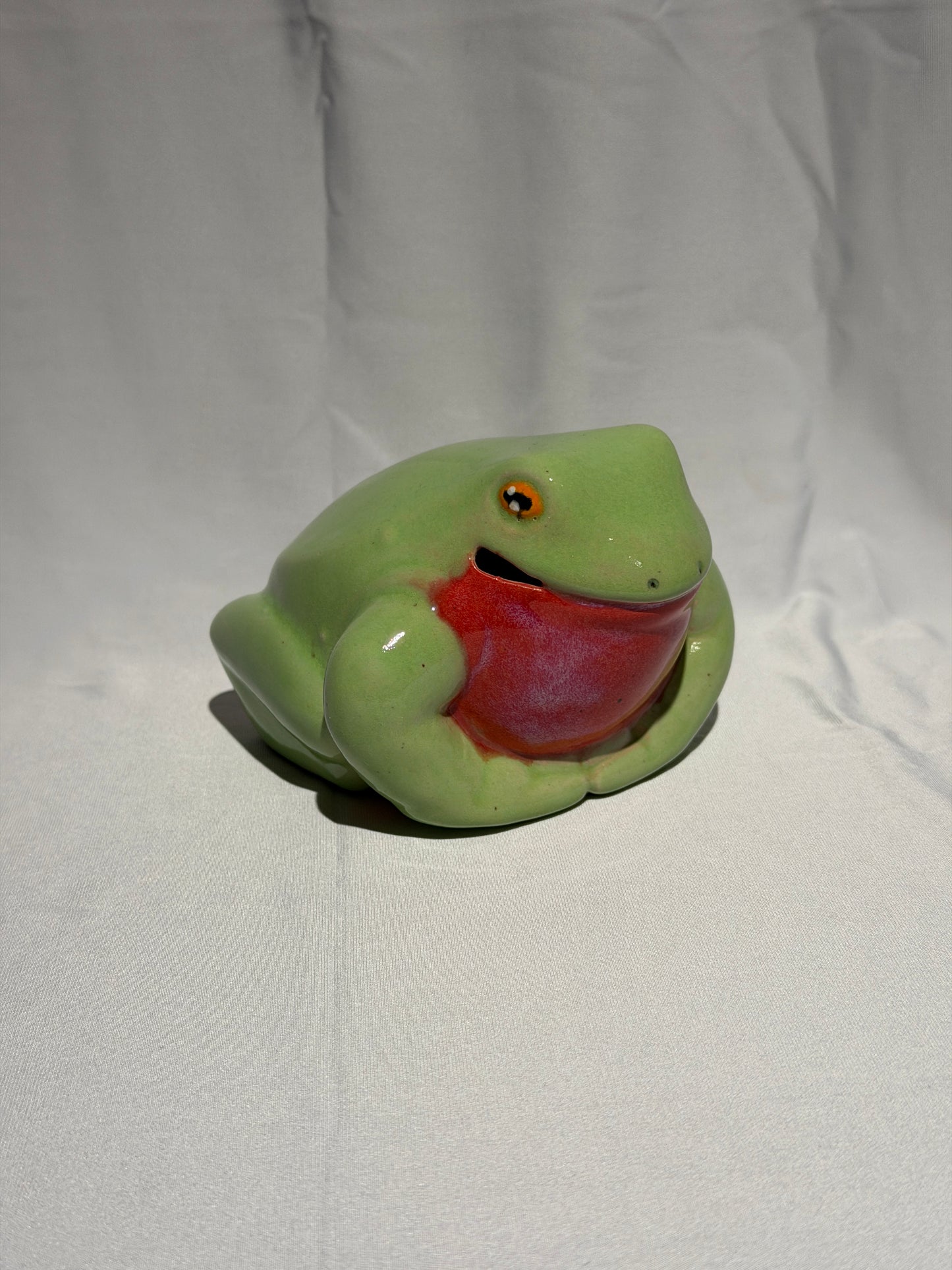 Lifeline the White's Tree Frog