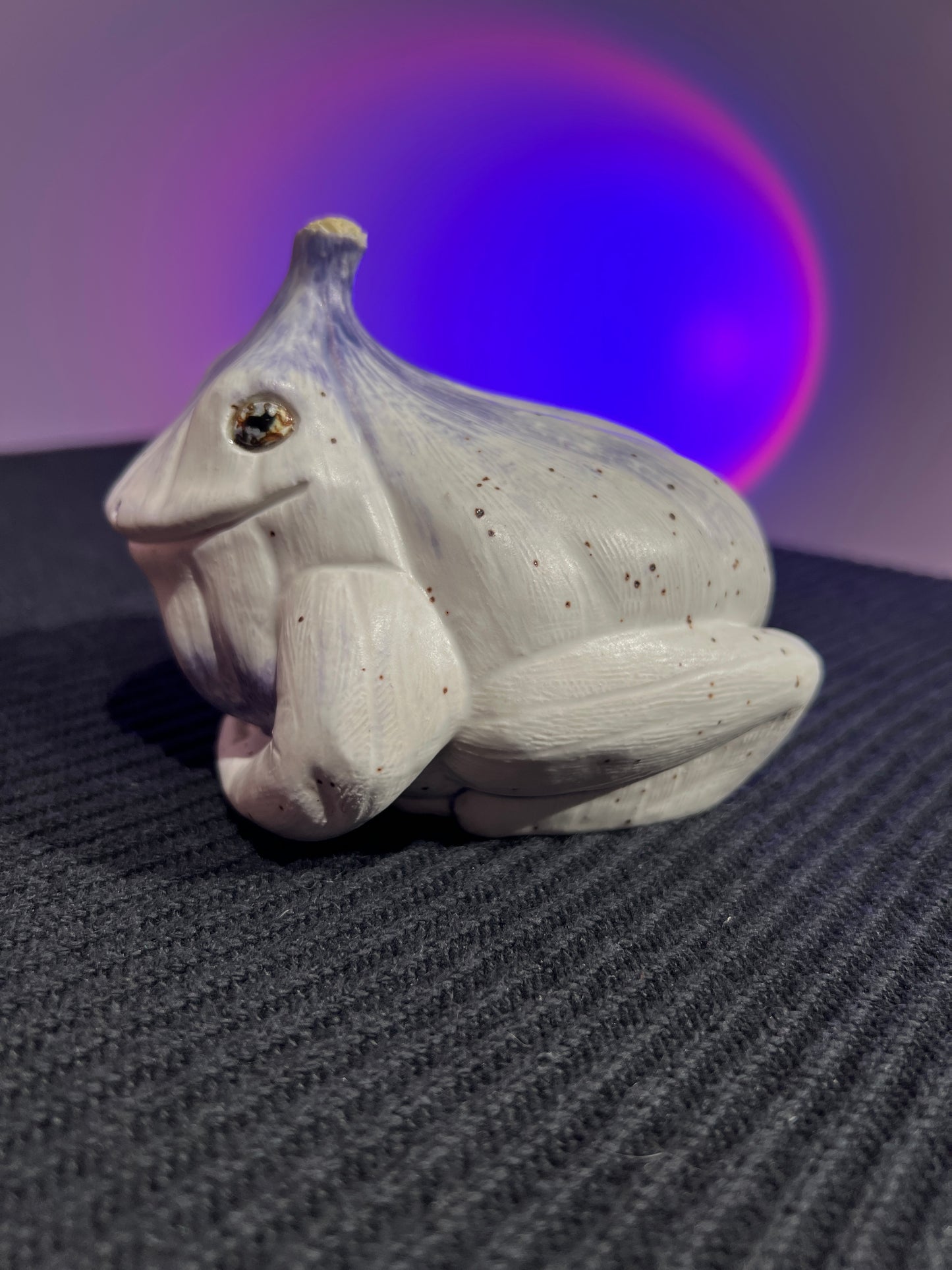 Garlito the Garlic Frog