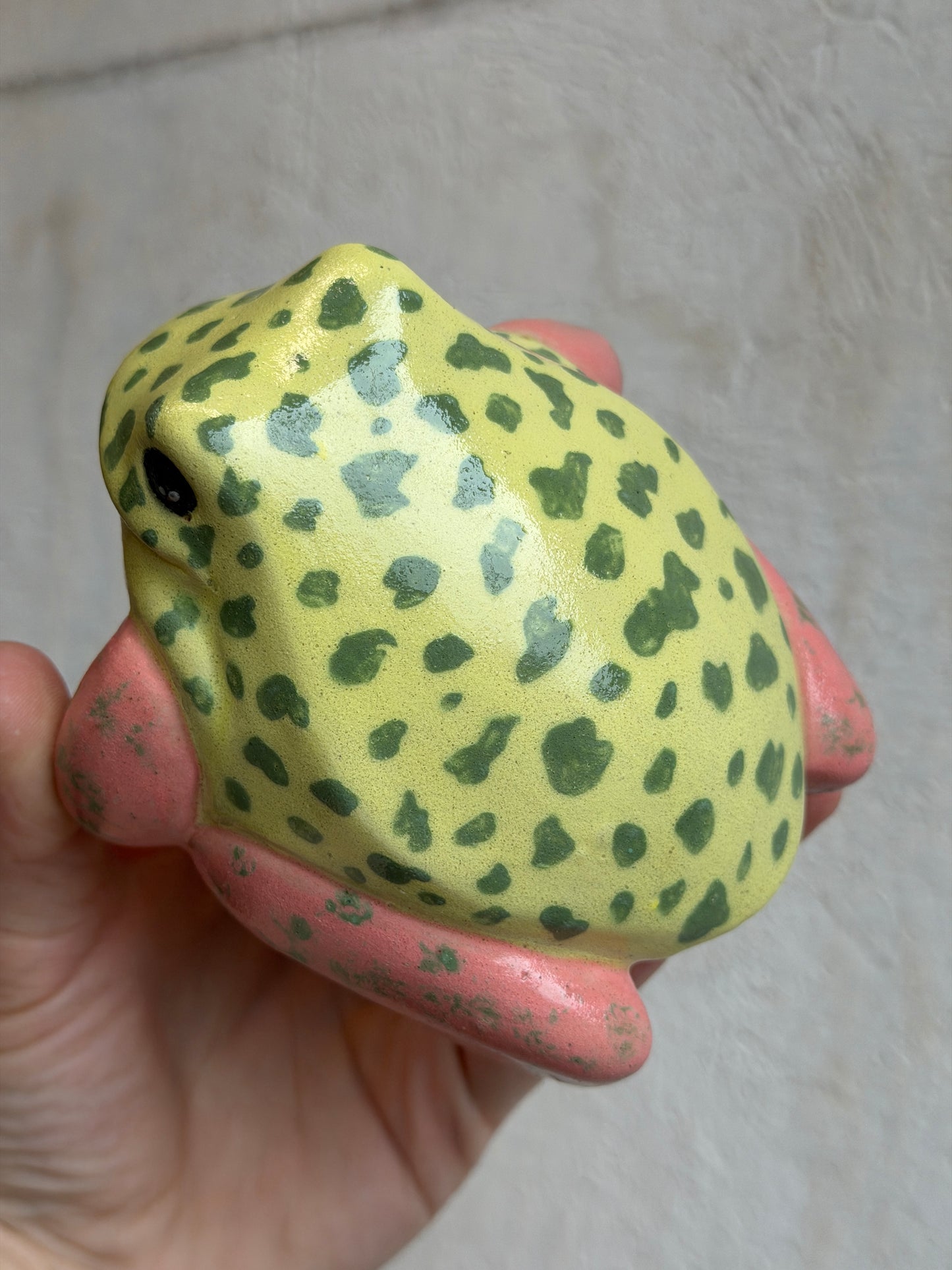 Pippi the Strawberry Dart Frog