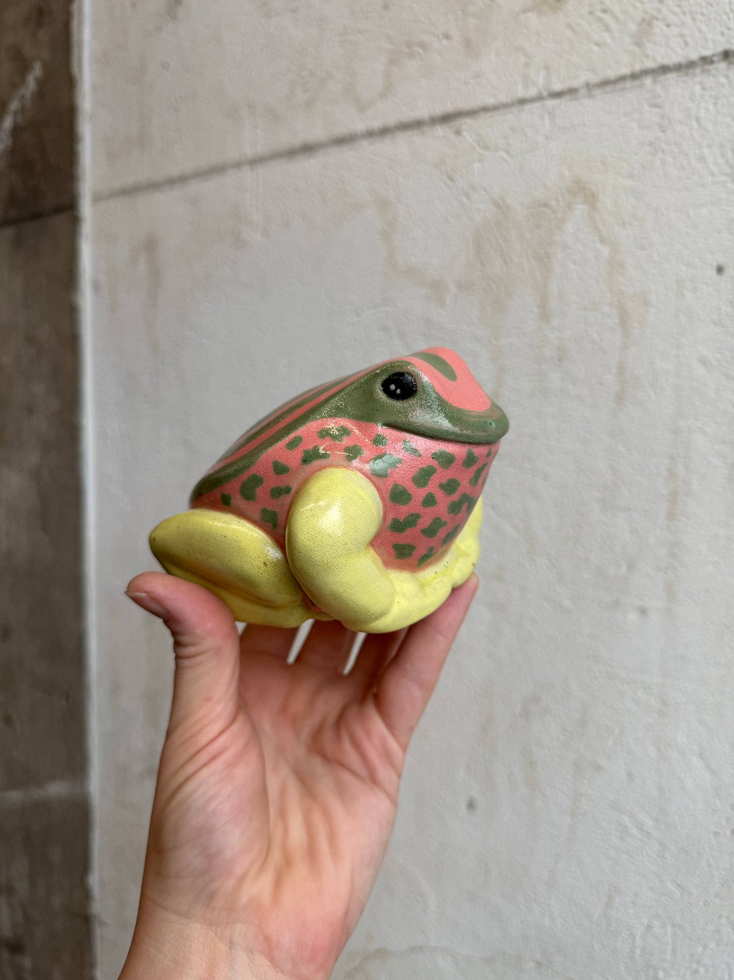 Georgia the Dyeing Dart Frog