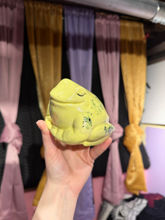 Triest the Harlequin Dart Frog