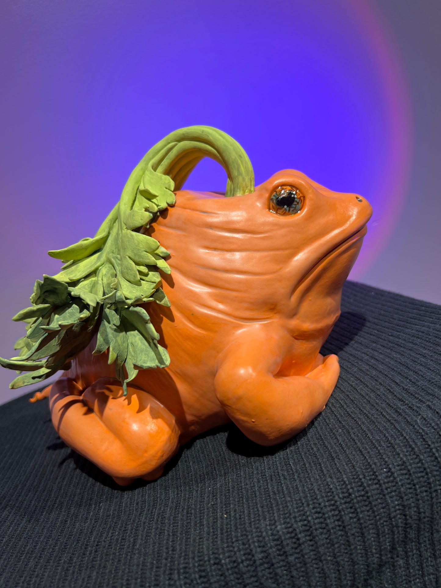 Carlee the Carrot Frog