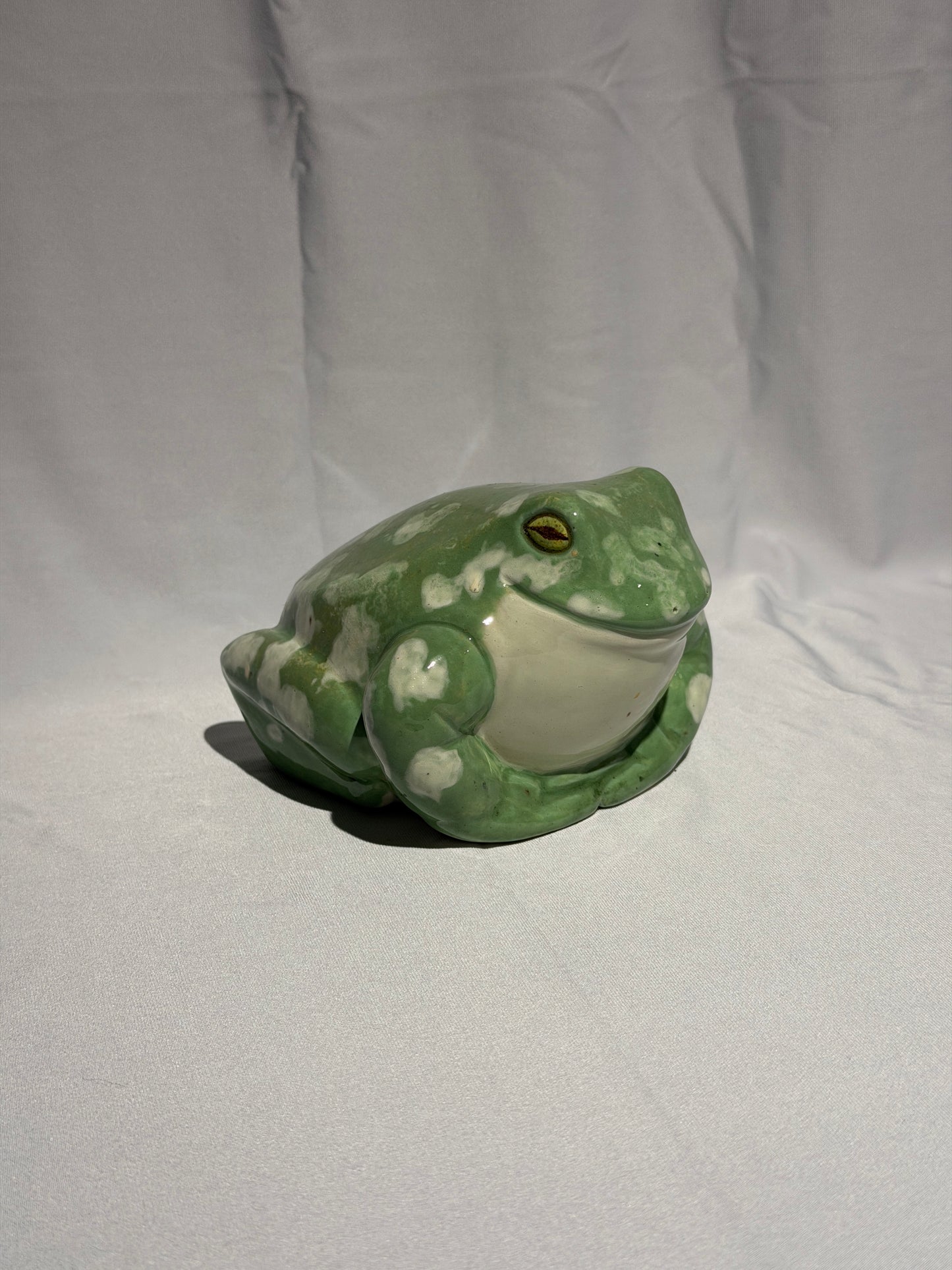 Stella the White's tree frog