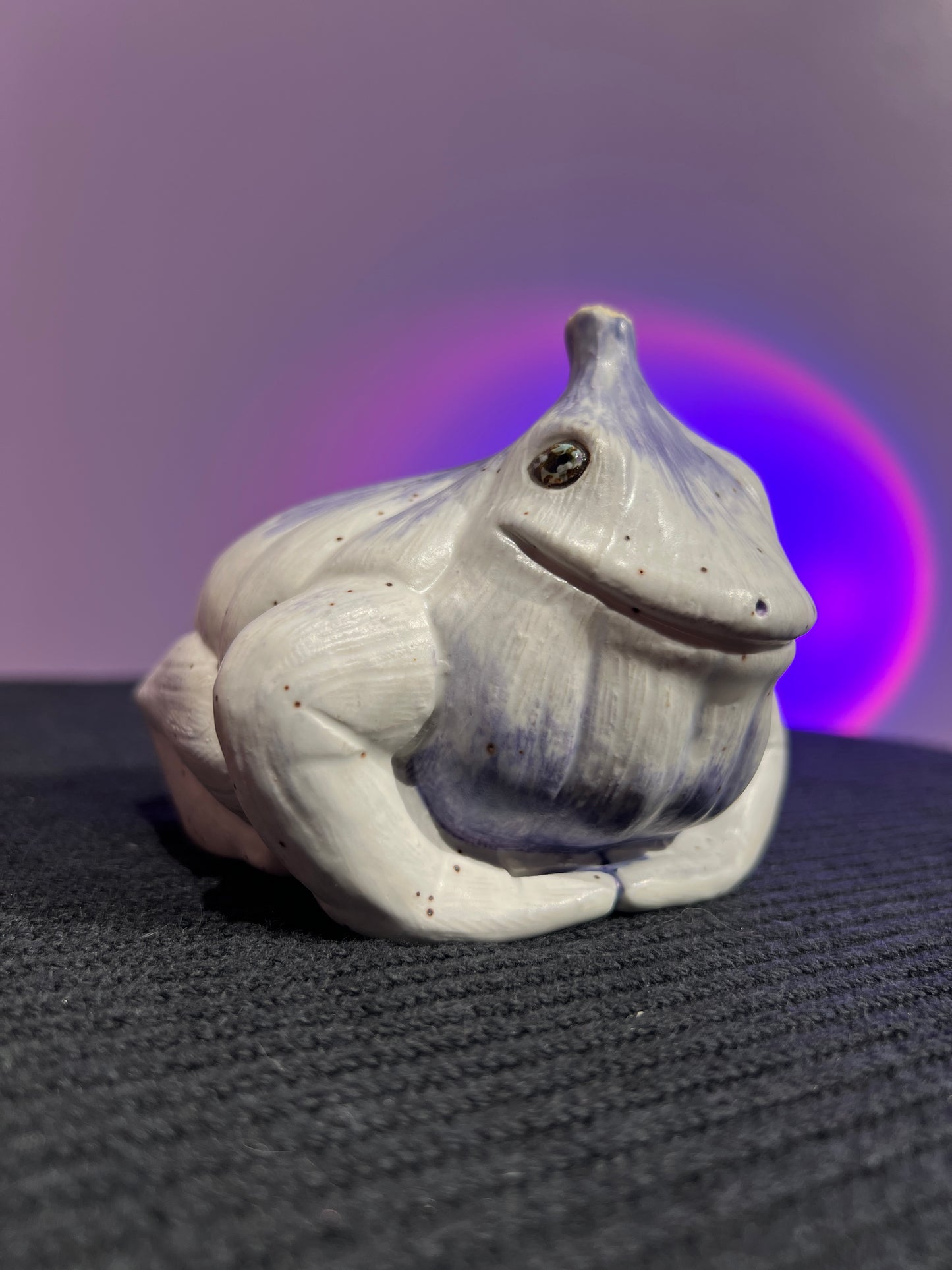 Garlito the Garlic Frog