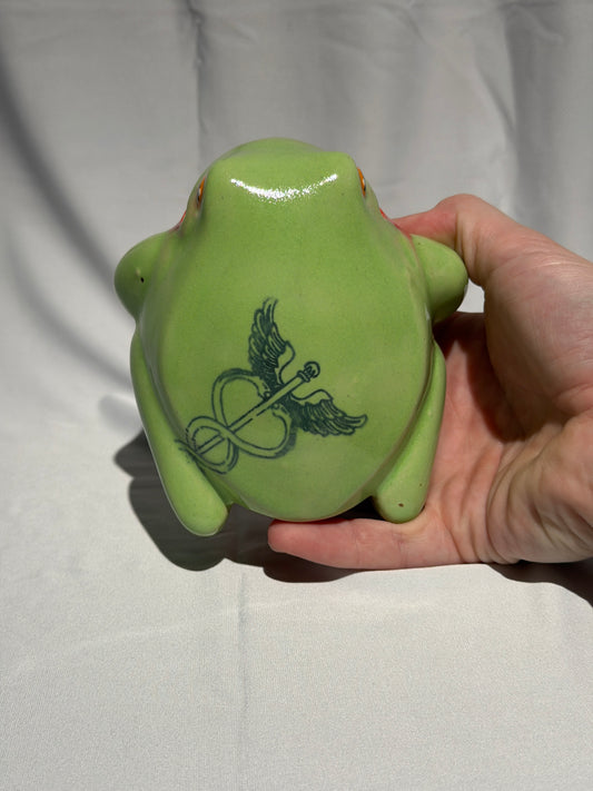 Lifeline the White's Tree Frog