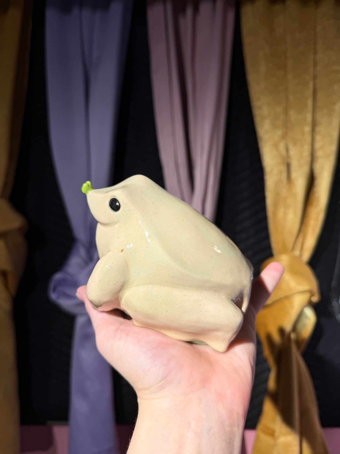 Zilch the Creepy Christmas Frog