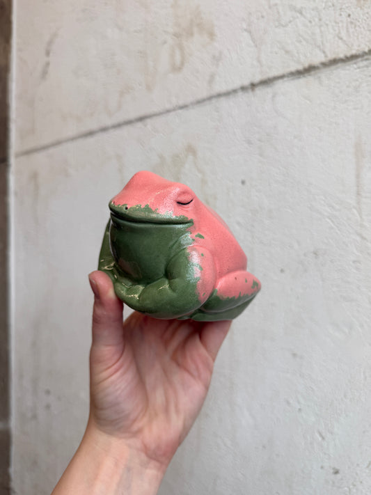 Melon the Splashback Dart Frog