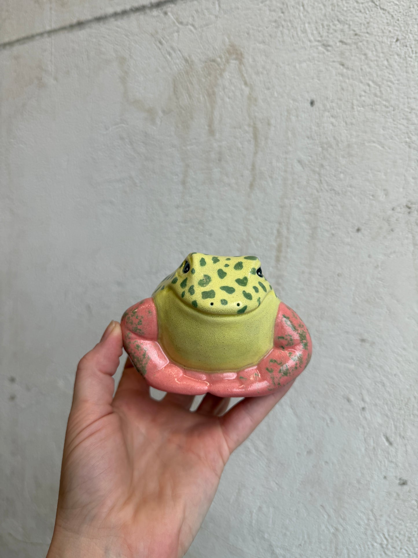 Grump the Strawberry Dart Frog