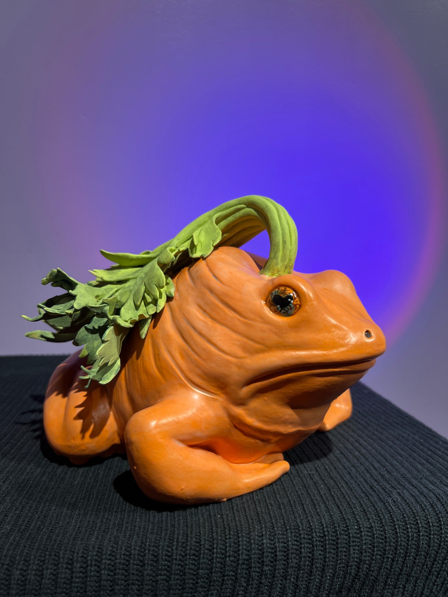 Carlee the Carrot Frog