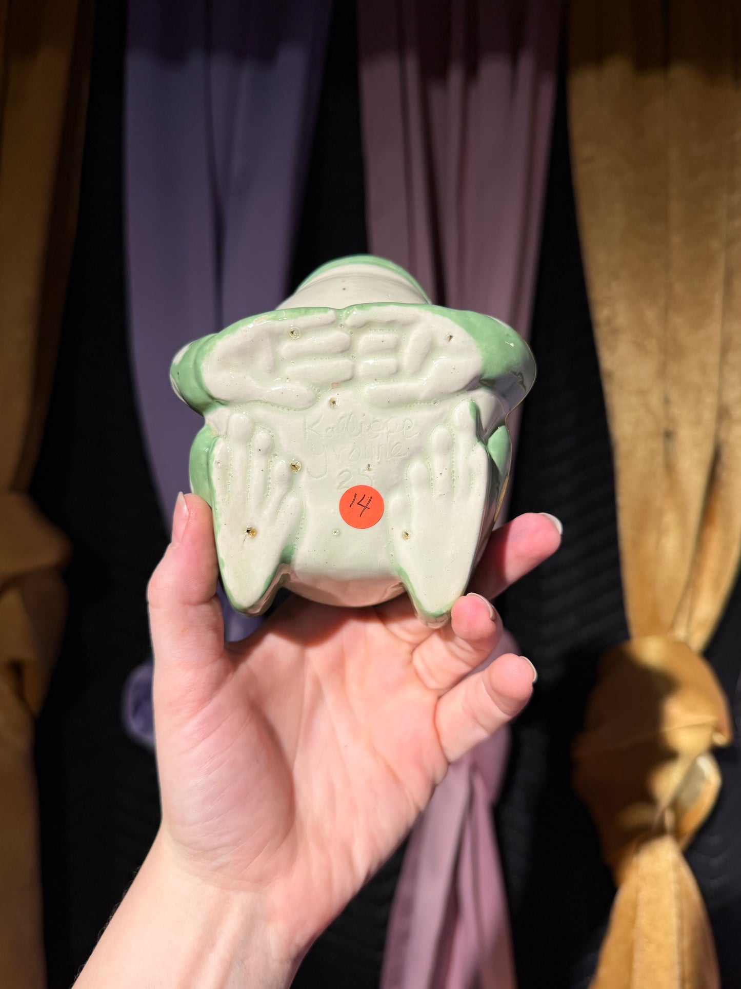 Sable the small frog 14