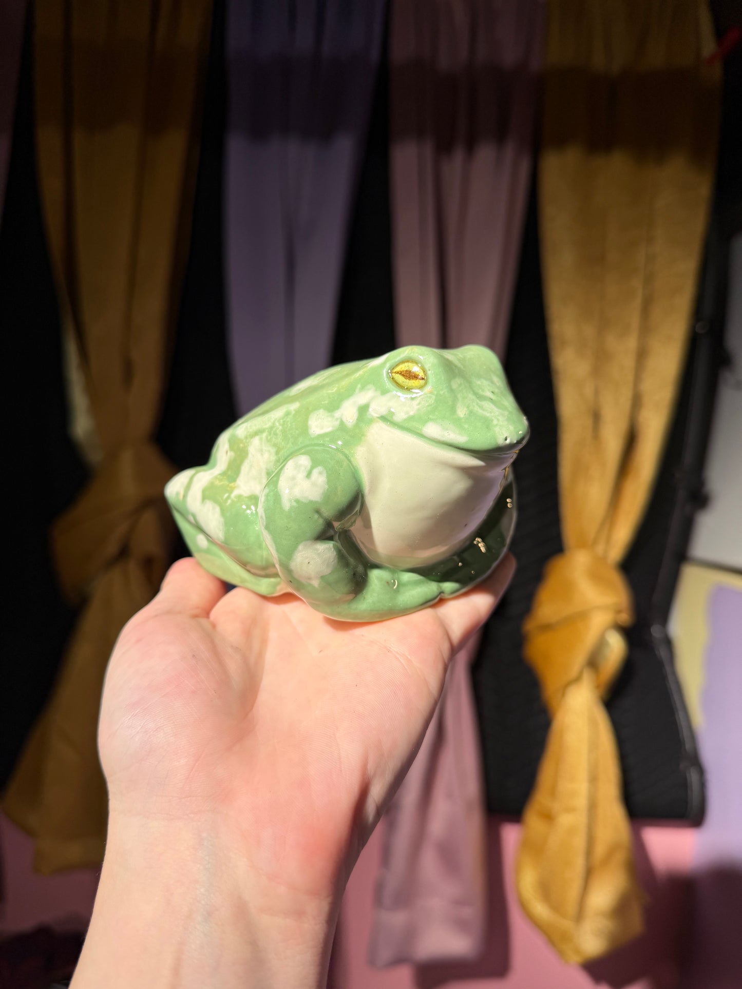 Sable the small frog 14