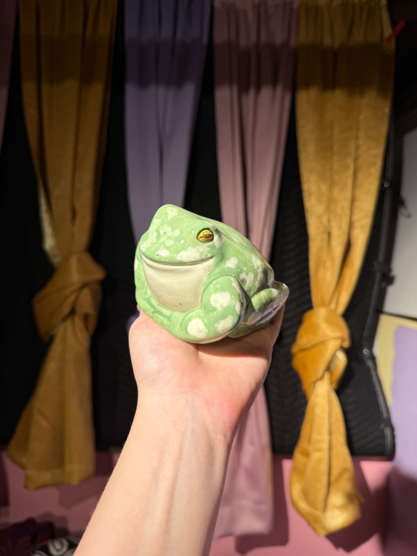 Sable the small frog 14