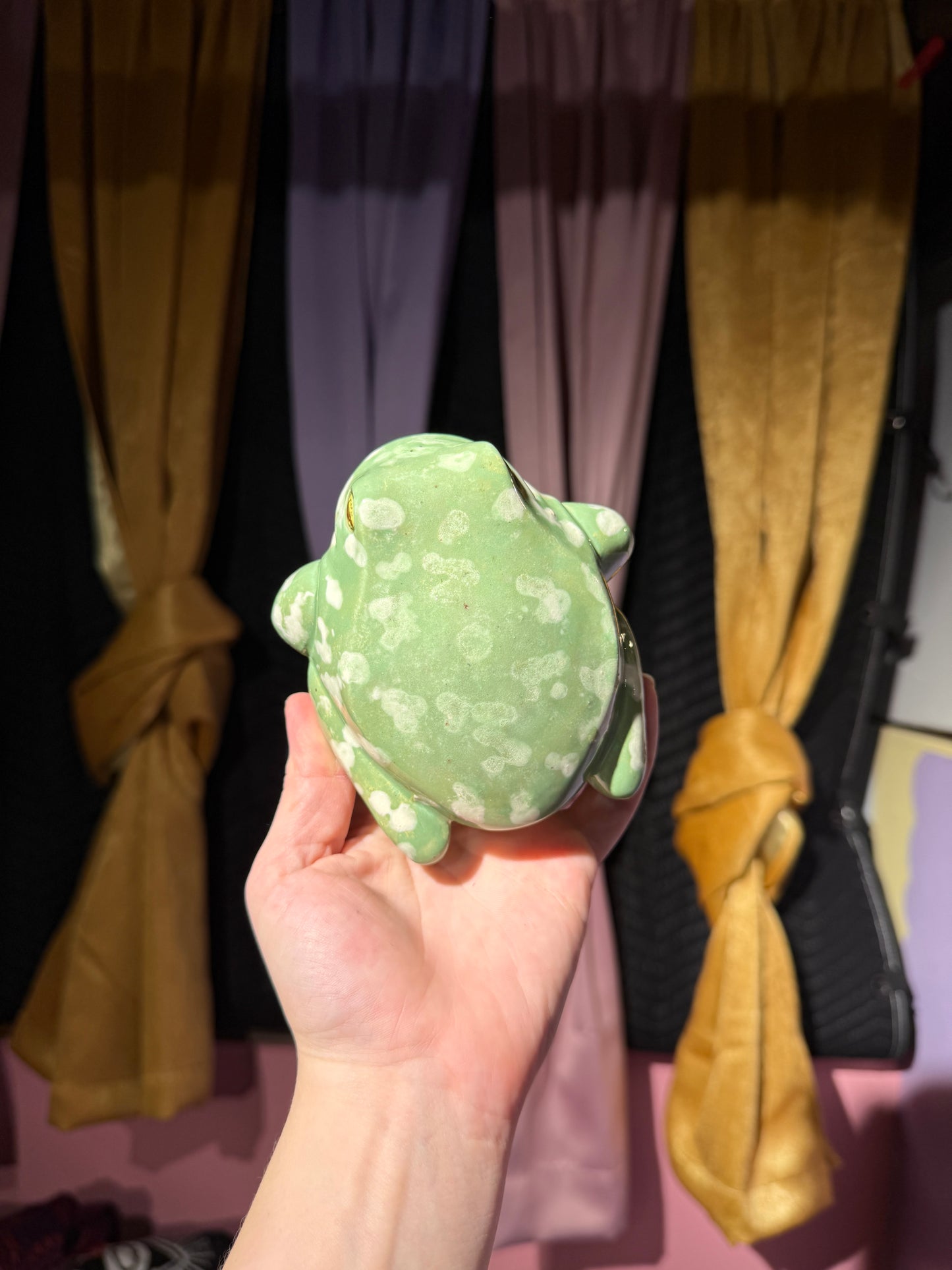 Sable the small frog 14