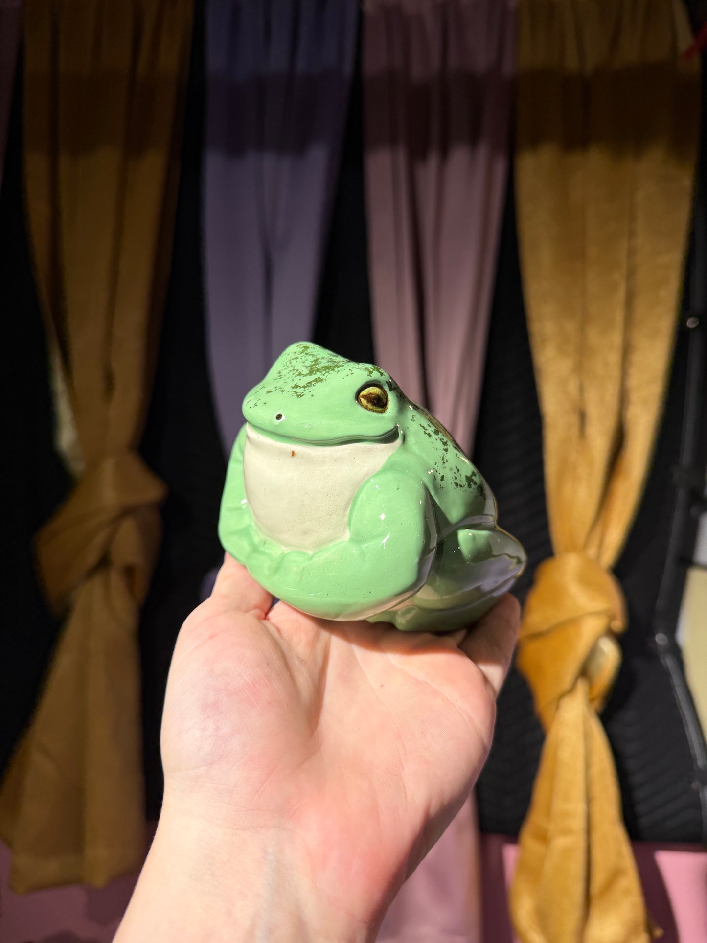 Garth the small frog 5