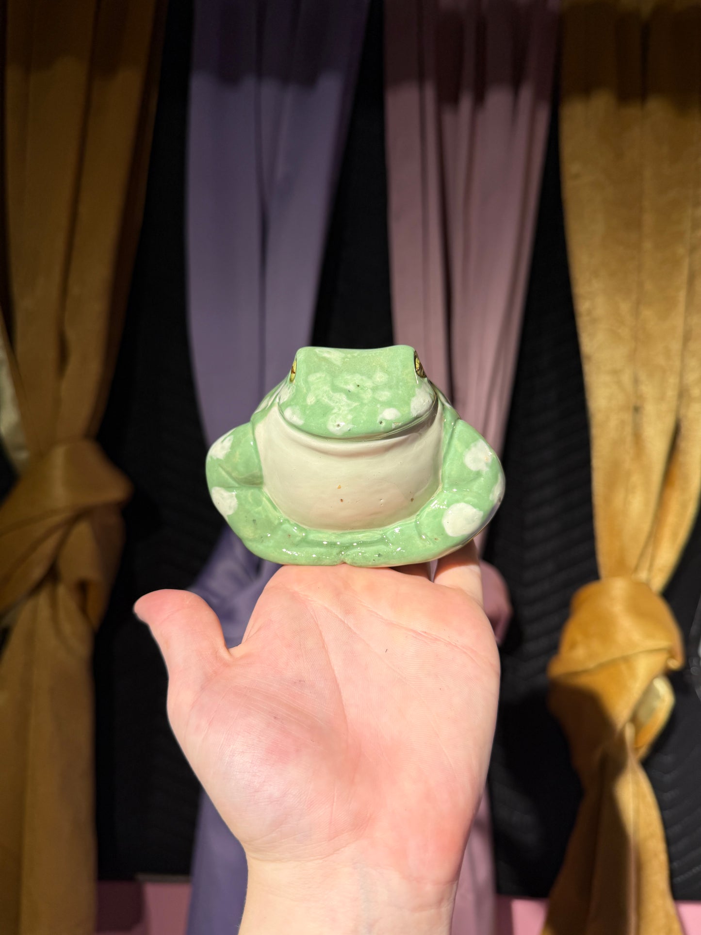 Sable the small frog 14