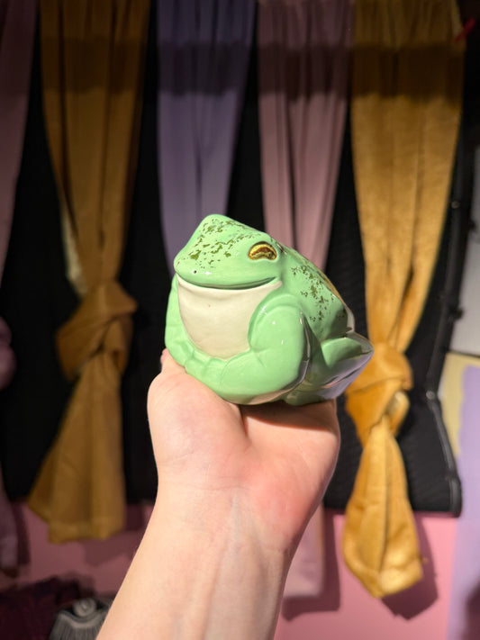 Melba the small frog 12