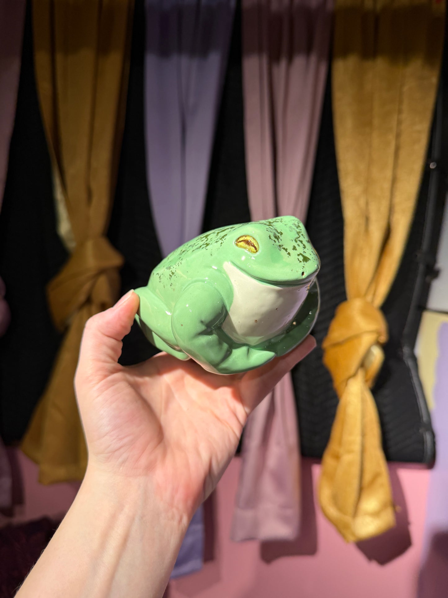 Melba the small frog 12