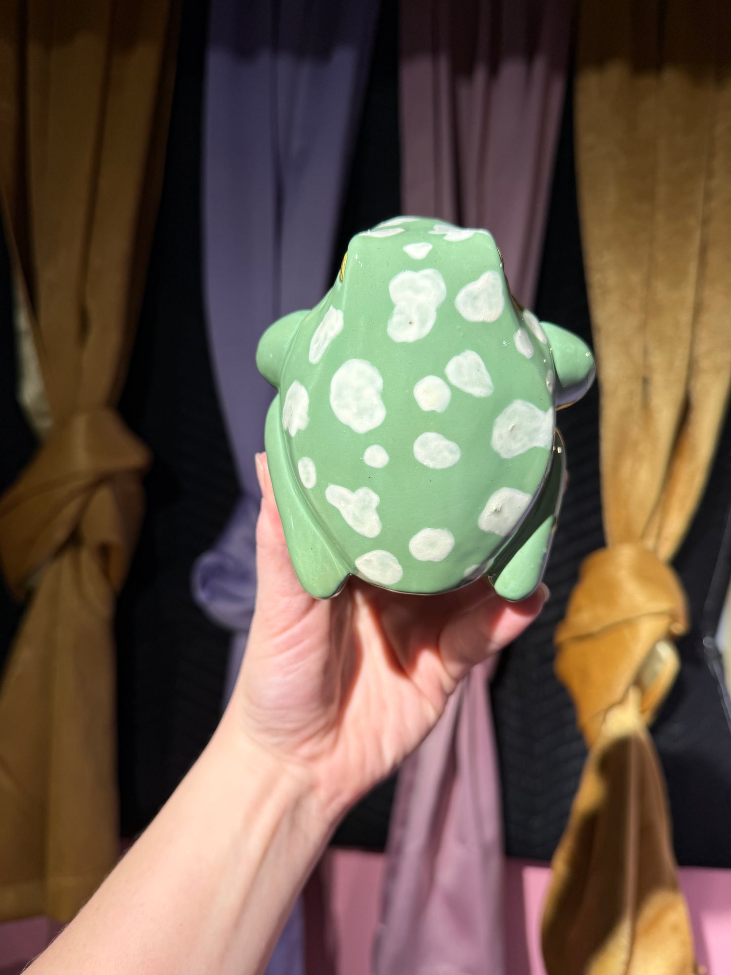 Mort the small frog 4