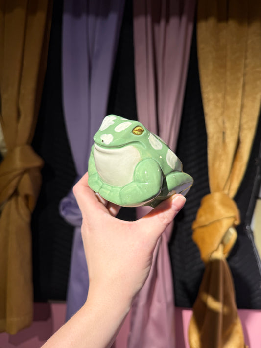 Mort the small frog 4