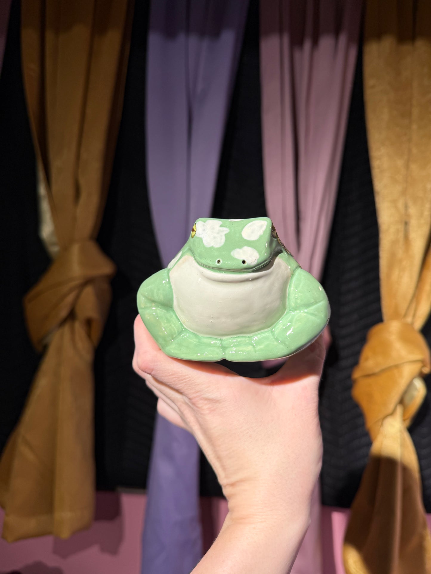 Mort the small frog 4