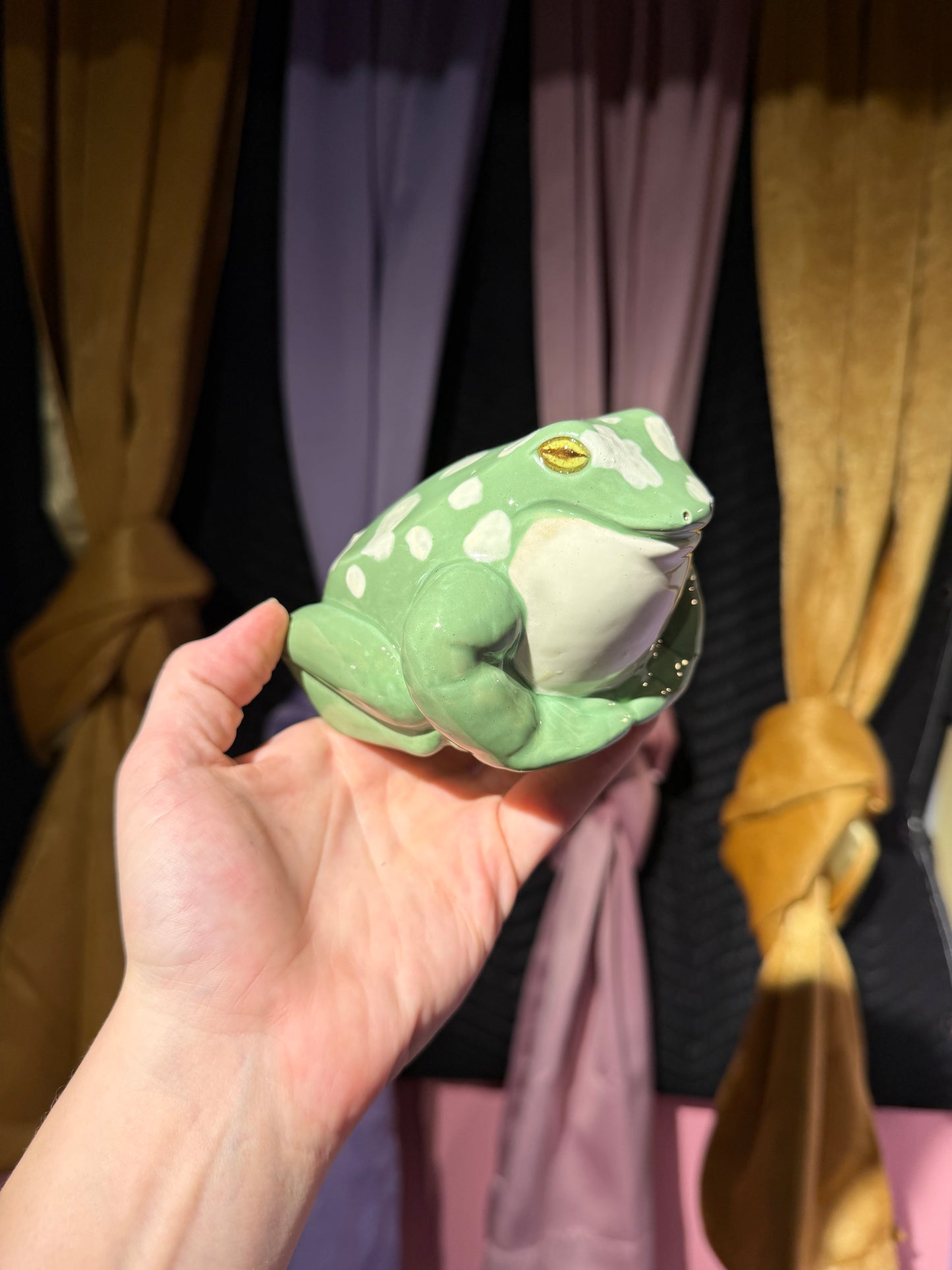 Mort the small frog 4