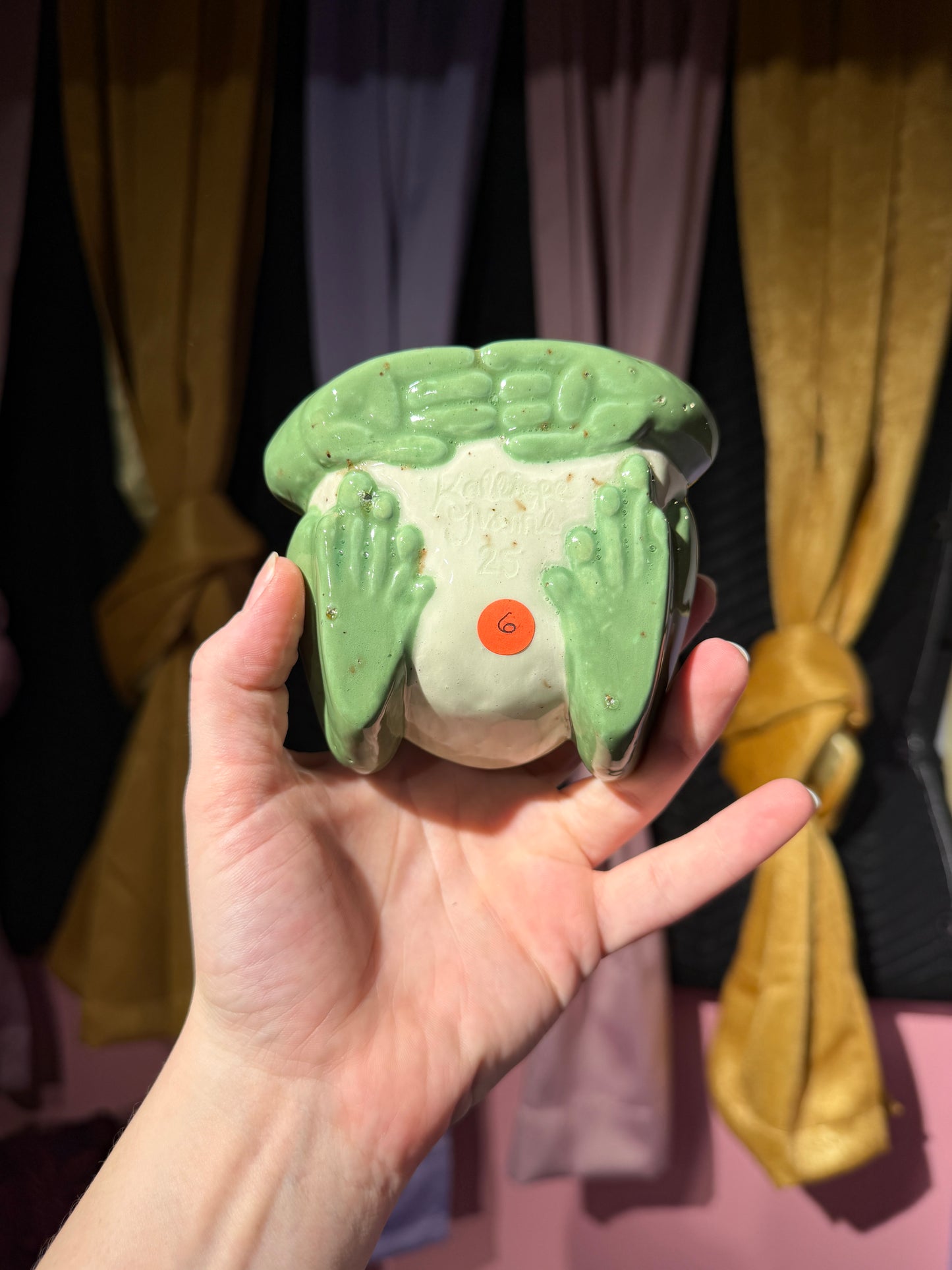 Hyde the small frog 6